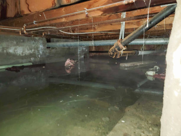 Best Basement water damage restoration  in Penn Farms, PA