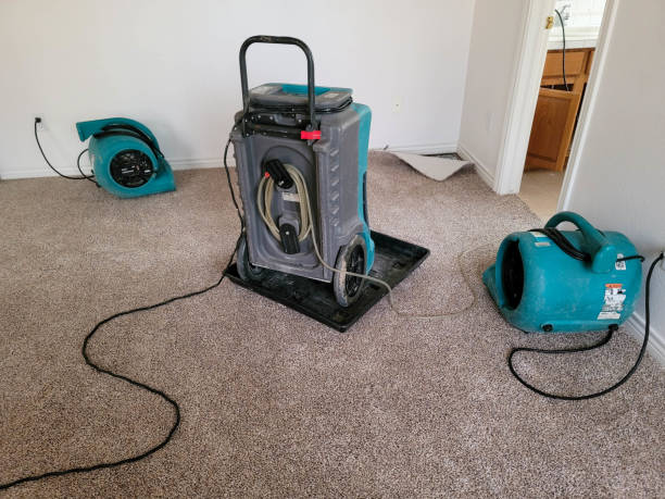 Best Water damage restoration insurance claims  in Penn Farms, PA