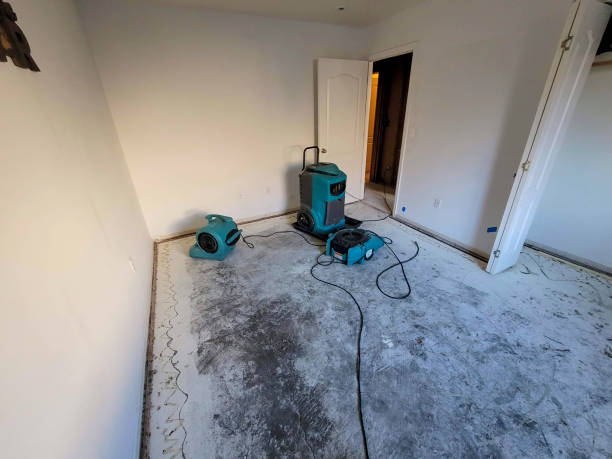 Best Basement water damage restoration  in Penn Farms, PA