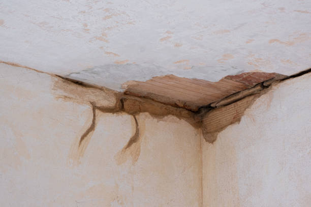 Best Local water damage restoration  in Penn Farms, PA