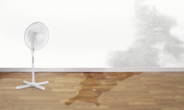 Best Water damage restoration services  in Penn Farms, PA