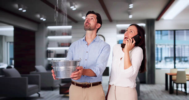 Best Ceiling water damage repair  in Penn Farms, PA