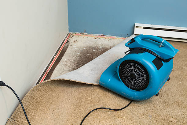 Best Mold removal after water damage  in Penn Farms, PA